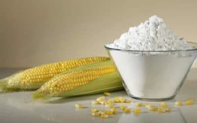 Maize(Corn) Starch Powder